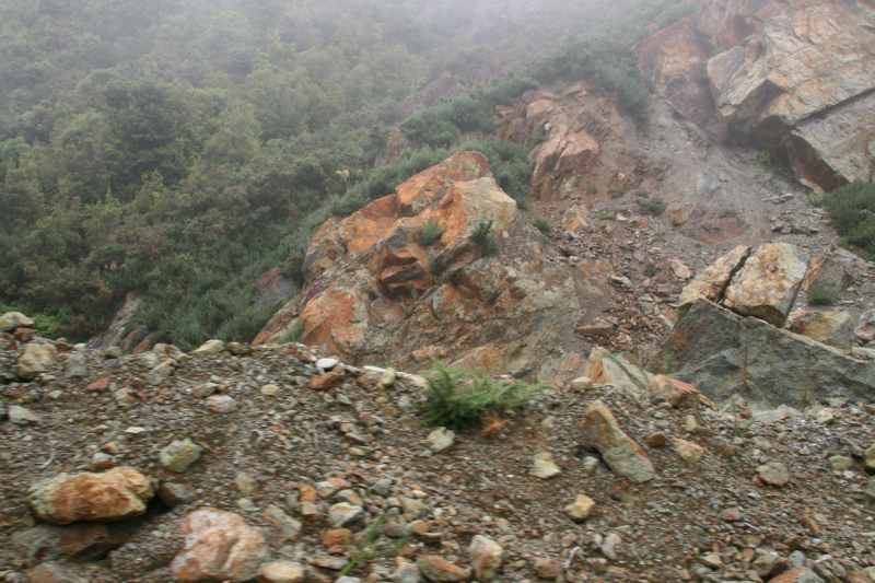 Nieuw-Zeeland 2011 - 1550